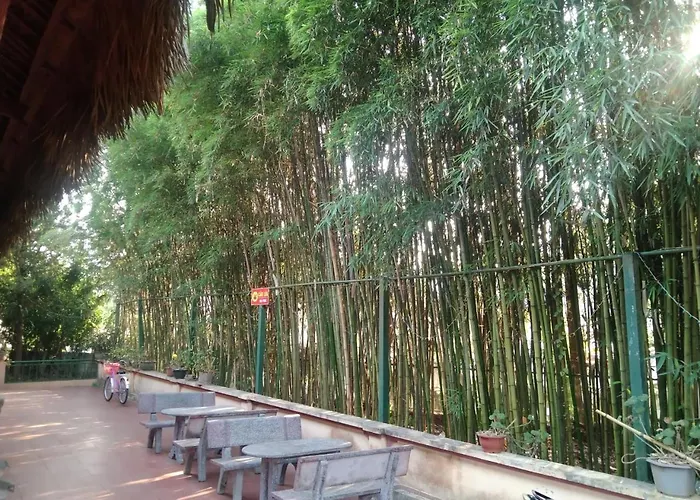 A Lin Homestay Bac Ha